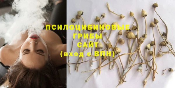 меф Арсеньев