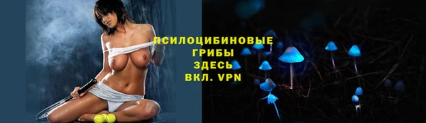 ГАЛЛЮЦИНОГЕННЫЕ ГРИБЫ Армянск