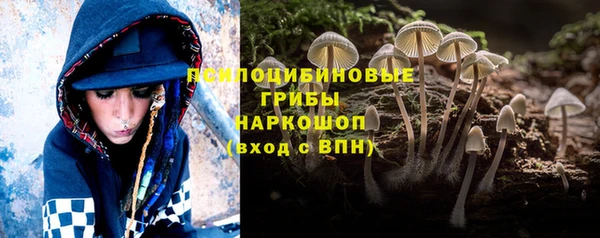 меф Арсеньев