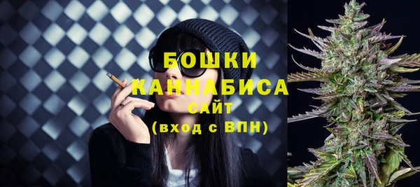 ГАЛЛЮЦИНОГЕННЫЕ ГРИБЫ Армянск
