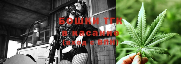 меф Арсеньев