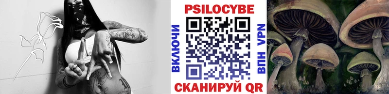 shop официальный сайт  Безенчук  kraken   Галлюциногенные грибы Psilocybine cubensis  купить наркотики цена 